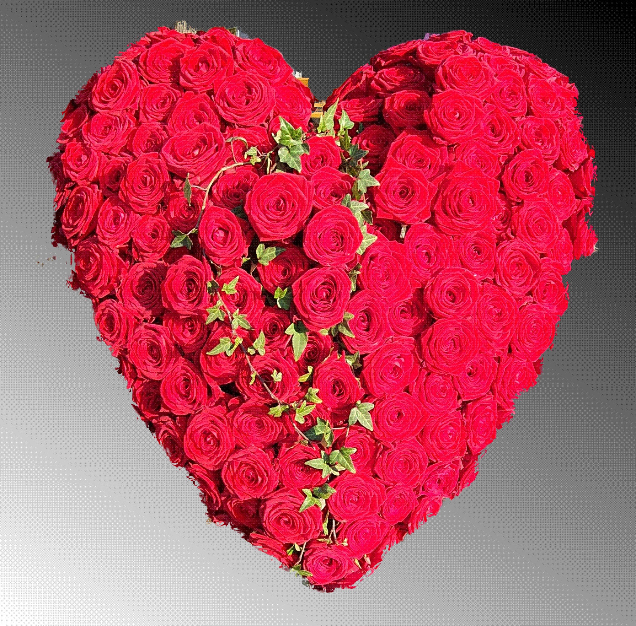 Herz " Riss im Herzen" mit roten Rosen und Efeu Bild 1