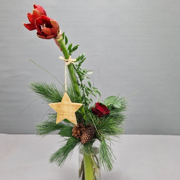 Weihnachtsbouquet Amaryllis mit Stern Bild 1